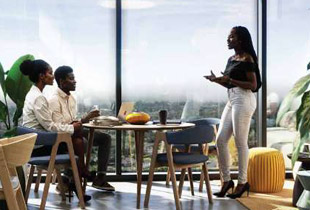 Ava &ndash; Interior View